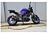 2023 Yamaha MT-03