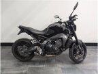 Thumbnail Photo 3 for 2023 Yamaha MT-09