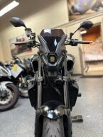 Thumbnail Photo 2 for 2023 Yamaha MT-09