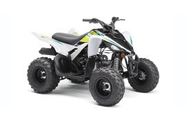 2023 Yamaha Raptor 125 90 specifications