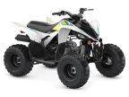 Thumbnail Photo 4 for 2023 Yamaha Raptor 90
