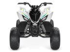Thumbnail Photo 5 for 2023 Yamaha Raptor 90