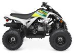 Thumbnail Photo 3 for 2023 Yamaha Raptor 90