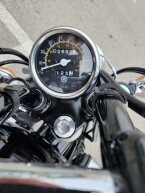 Thumbnail Photo 1 for 2023 Yamaha V Star 250