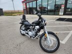 Thumbnail Photo 3 for 2023 Yamaha V Star 250