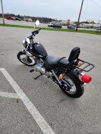 Thumbnail Photo 4 for 2023 Yamaha V Star 250