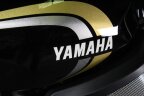 Thumbnail Photo 4 for 2023 Yamaha XSR700