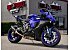 2023 Yamaha YZF-R1