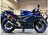2023 Yamaha YZF-R3