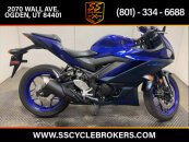 2023 Yamaha YZF-R3