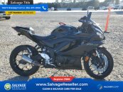 New 2023 Yamaha YZF-R3