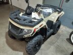 Thumbnail Photo 2 for New 2024 Arctic Cat Alterra 300