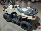 Thumbnail Photo 3 for New 2024 Arctic Cat Alterra 300
