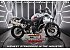 2024 BMW F900GS Adventure