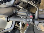 Thumbnail Photo 4 for New 2024 BMW R1250GS