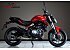 2024 Benelli 302S