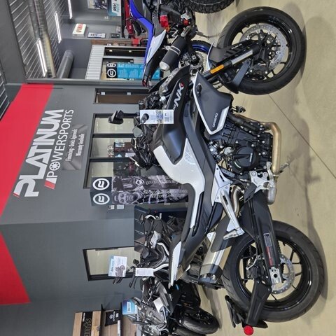 New 2024 CFMoto 800NK
