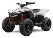 New 2024 CFMoto CForce EV110