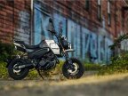 Thumbnail Photo 3 for New 2024 CFMoto Papio