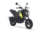Thumbnail Photo 1 for 2024 CFMoto Papio CL
