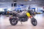 Thumbnail Photo 6 for New 2024 CFMoto Papio CL