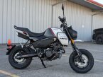 Thumbnail Photo 2 for 2024 CFMoto Papio CL