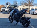 Thumbnail Photo 4 for 2024 CFMoto Papio CL