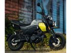 Thumbnail Photo 6 for New 2024 CFMoto Papio
