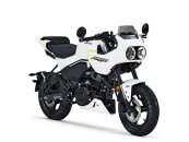 New 2024 CFMoto Papio