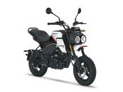 New 2024 CFMoto Papio CL