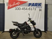New 2024 CFMoto Papio