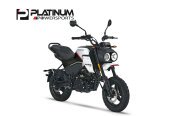 New 2024 CFMoto Papio
