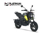 New 2024 CFMoto Papio