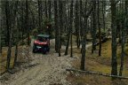 Thumbnail Photo 4 for New 2024 CFMoto ZForce 950 Trail