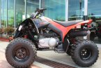 Thumbnail Photo 4 for New 2024 Can-Am DS 250