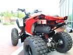 Thumbnail Photo 2 for New 2024 Can-Am DS 250