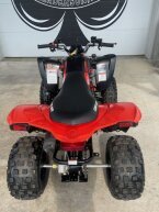Thumbnail Photo 3 for 2024 Can-Am DS 250