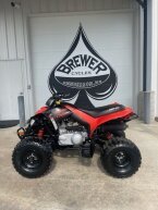 Thumbnail Photo 1 for 2024 Can-Am DS 250