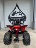 Thumbnail Photo 4 for 2024 Can-Am DS 250