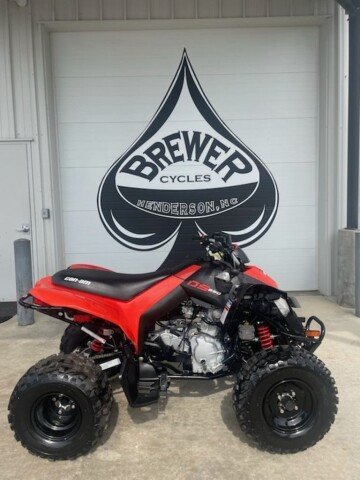 2024 Can-Am DS 250