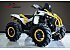 2024 Can-Am Renegade 1000R X mr