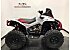 2024 Can-Am Renegade 1000R X mr