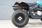 Thumbnail Photo 6 for New 2024 Can-Am Renegade 110
