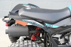 Thumbnail Photo 5 for New 2024 Can-Am Renegade 110