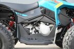 Thumbnail Photo 4 for New 2024 Can-Am Renegade 110