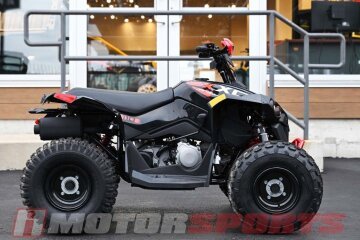 New 2024 Can-Am Renegade 110