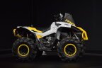 Thumbnail Photo 6 for New 2024 Can-Am Renegade 650