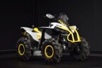 Thumbnail Photo 4 for New 2024 Can-Am Renegade 650