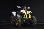 Thumbnail Photo 3 for New 2024 Can-Am Renegade 650