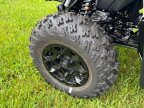 Thumbnail Photo 2 for New 2024 Can-Am Renegade 650 X mr